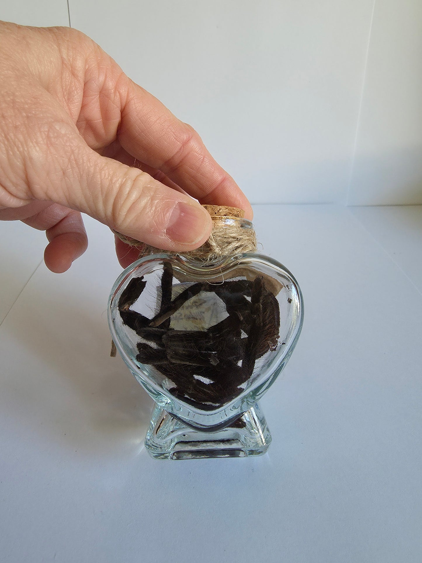 Potion bottle - Spider legs